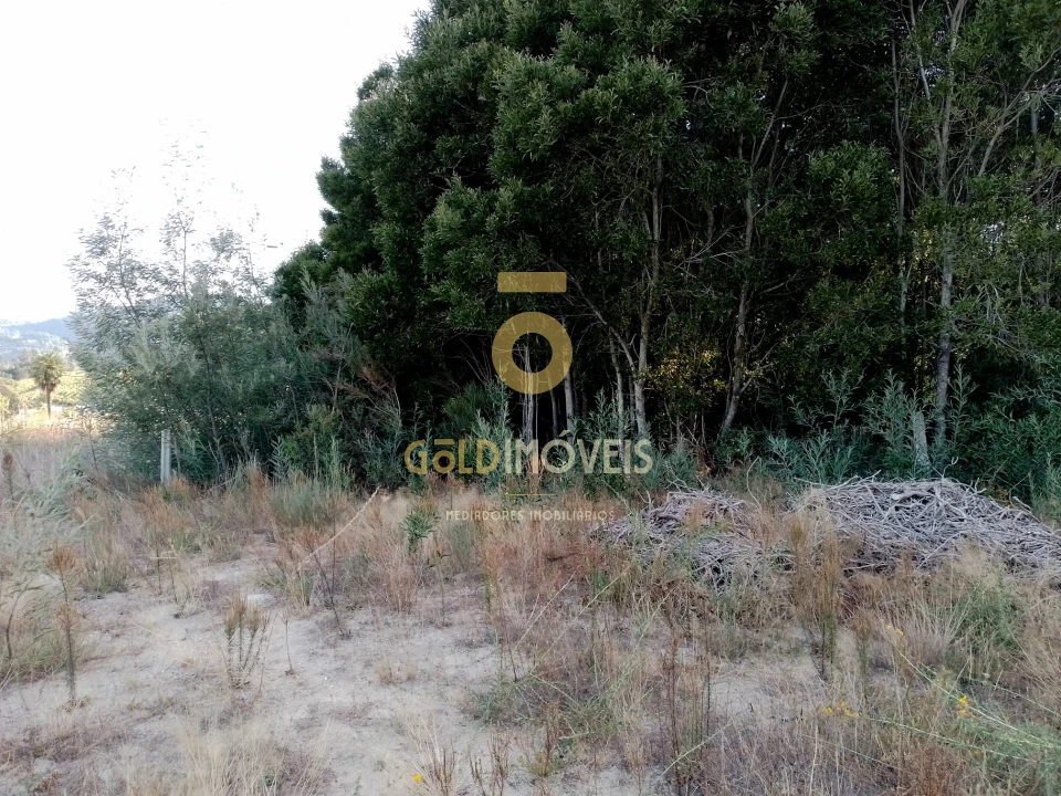 Terreno para Venda em Alpendorada, Várzea e Torrão Foto 4