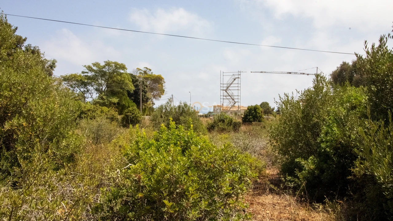 Terreno para Venda em Luz Foto 8