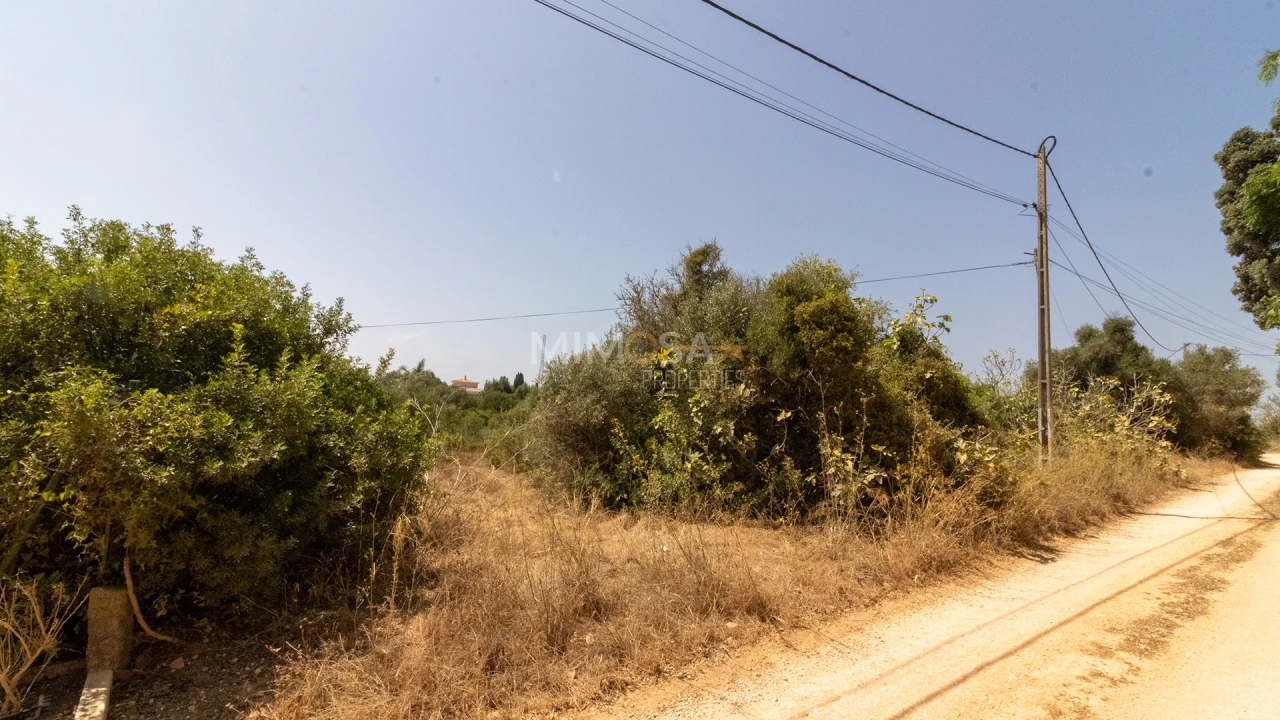 Terreno para Venda em Luz Foto 17