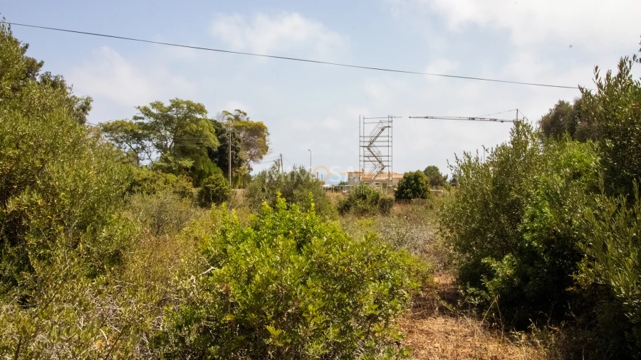 Terreno para Venda em Luz Foto 8