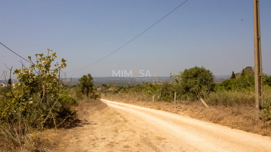 Terreno para Venda em Luz Foto 11
