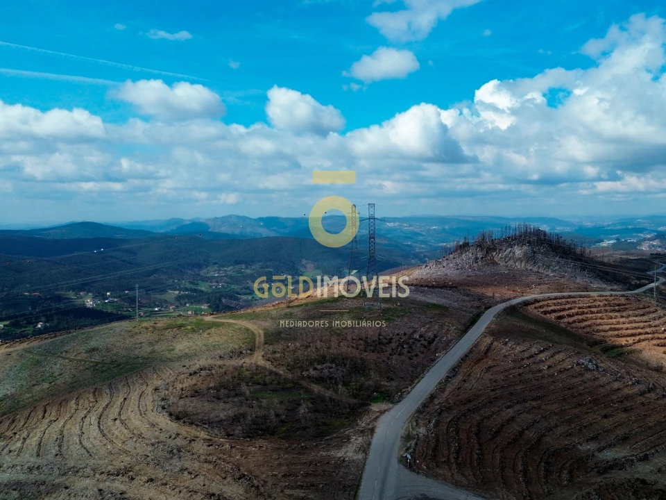 Terreno Agricola ou Rústico para Venda em Real Foto 5