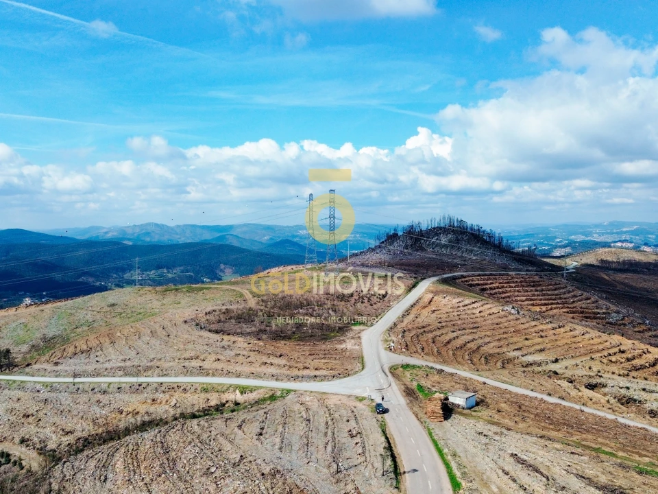 Terreno Agricola ou Rústico para Venda em Real Foto 1