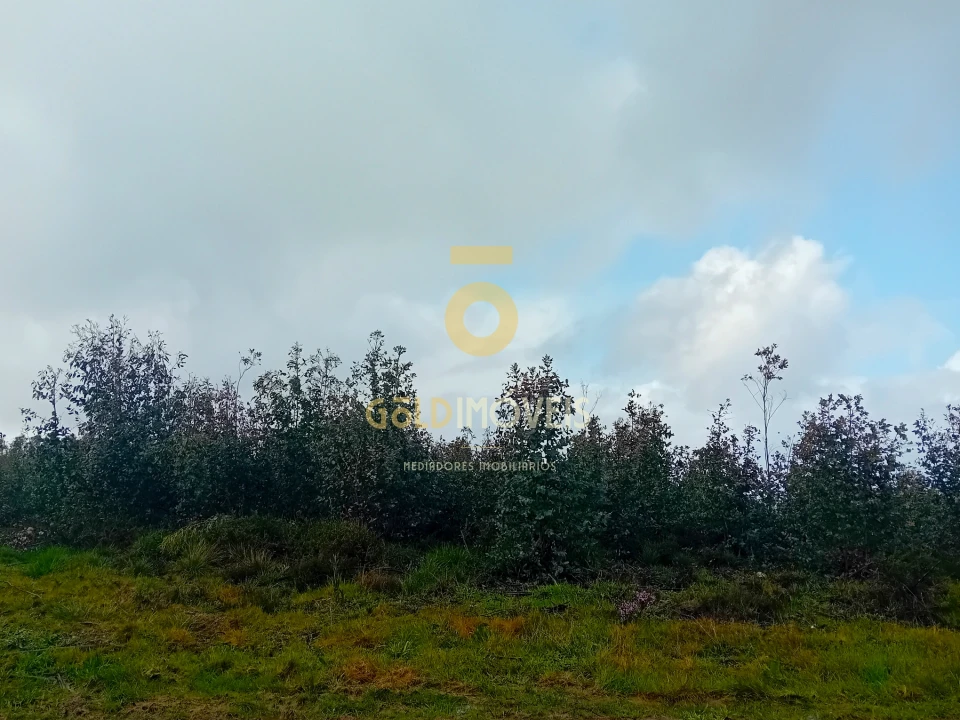 Terreno Agricola ou Rústico para Venda em Real Foto 6
