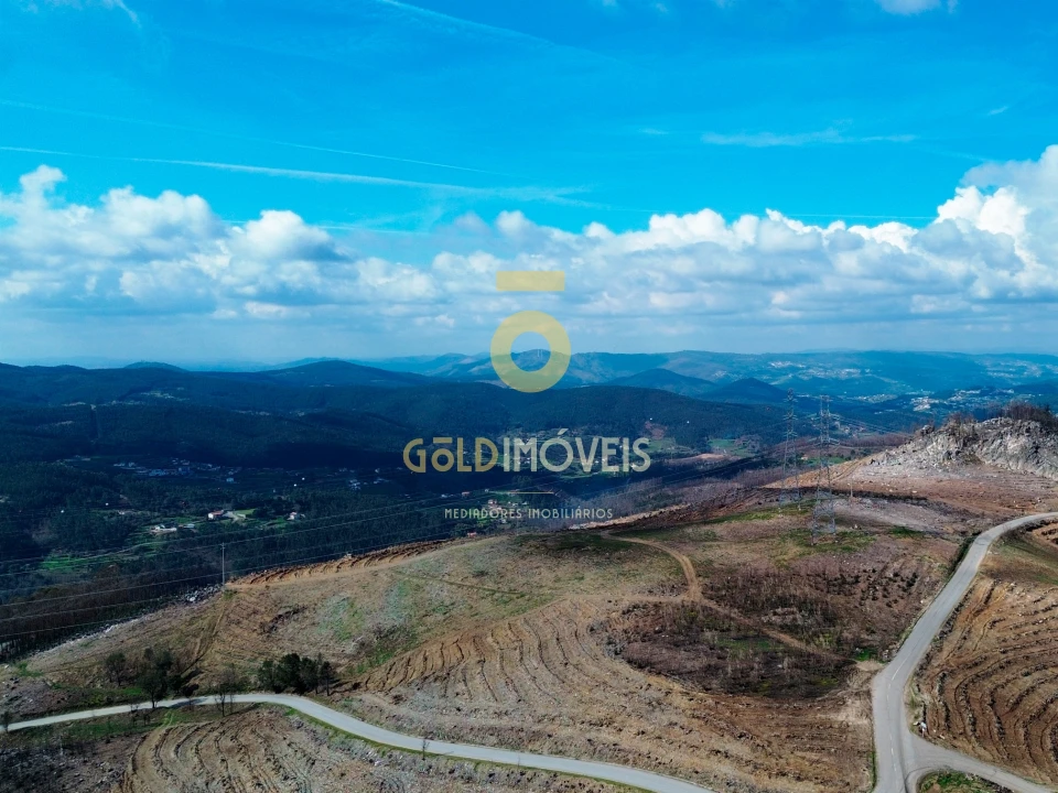 Terreno Agricola ou Rústico para Venda em Real Foto 2