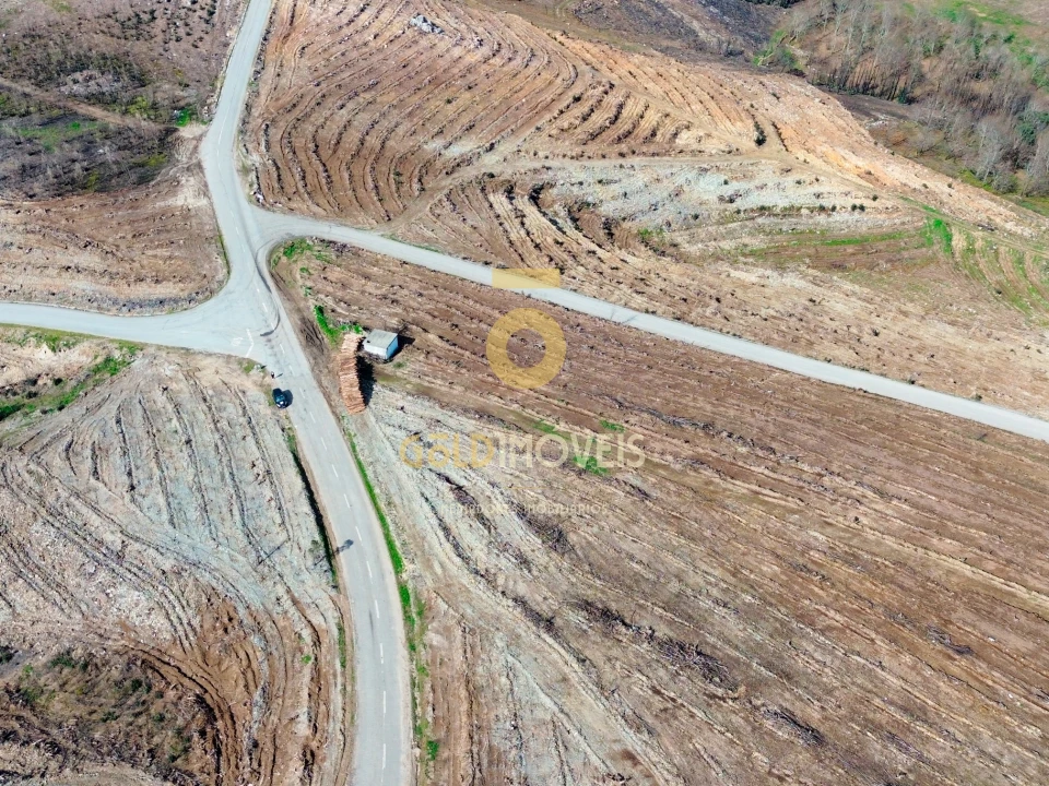 Terreno Agricola ou Rústico para Venda em Real Foto 4
