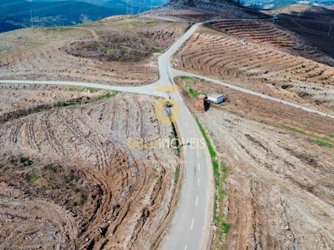 Terreno Agricola ou Rústico para Venda em Real Foto 6