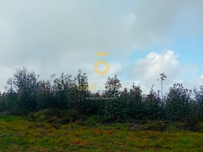 Terreno Agricola ou Rústico para Venda em Real Foto 6
