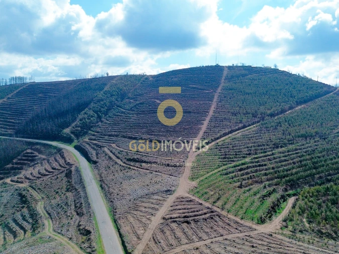 Terreno Agricola ou Rústico para Venda em Real Foto 3