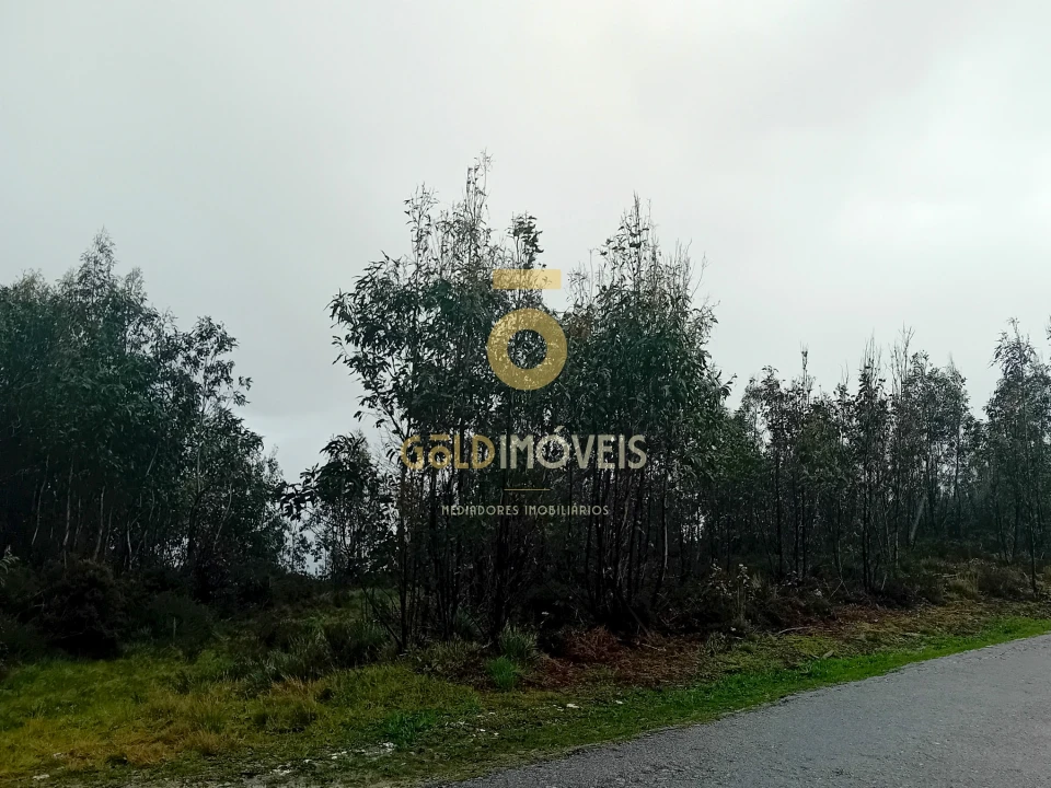 Terreno Agricola ou Rústico para Venda em Real Foto 3