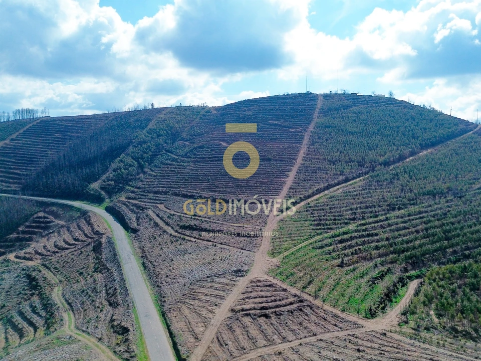 Terreno Agricola ou Rústico para Venda em Real Foto 3