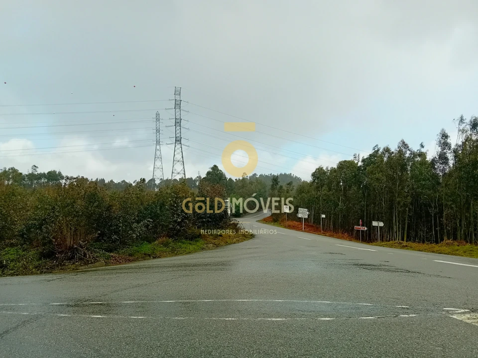 Terreno Agricola ou Rústico para Venda em Real Foto 2