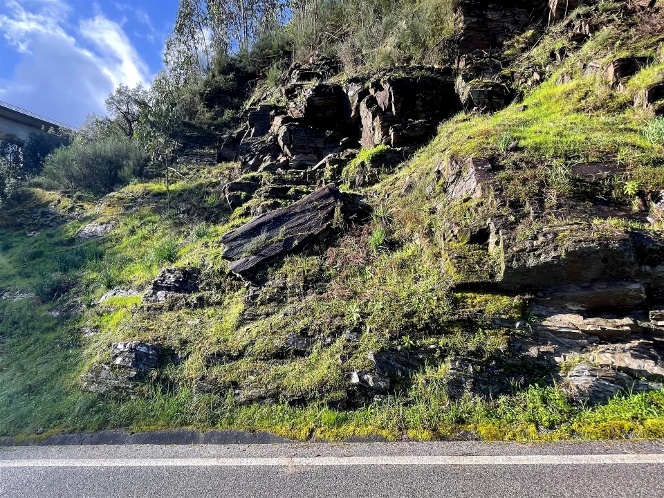 Terreno Agricola ou Rústico para Venda em Raiva, Pedorido e Paraíso Foto 9