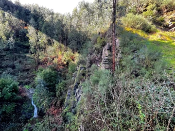 Terreno Agricola ou Rústico para Venda em Raiva, Pedorido e Paraíso