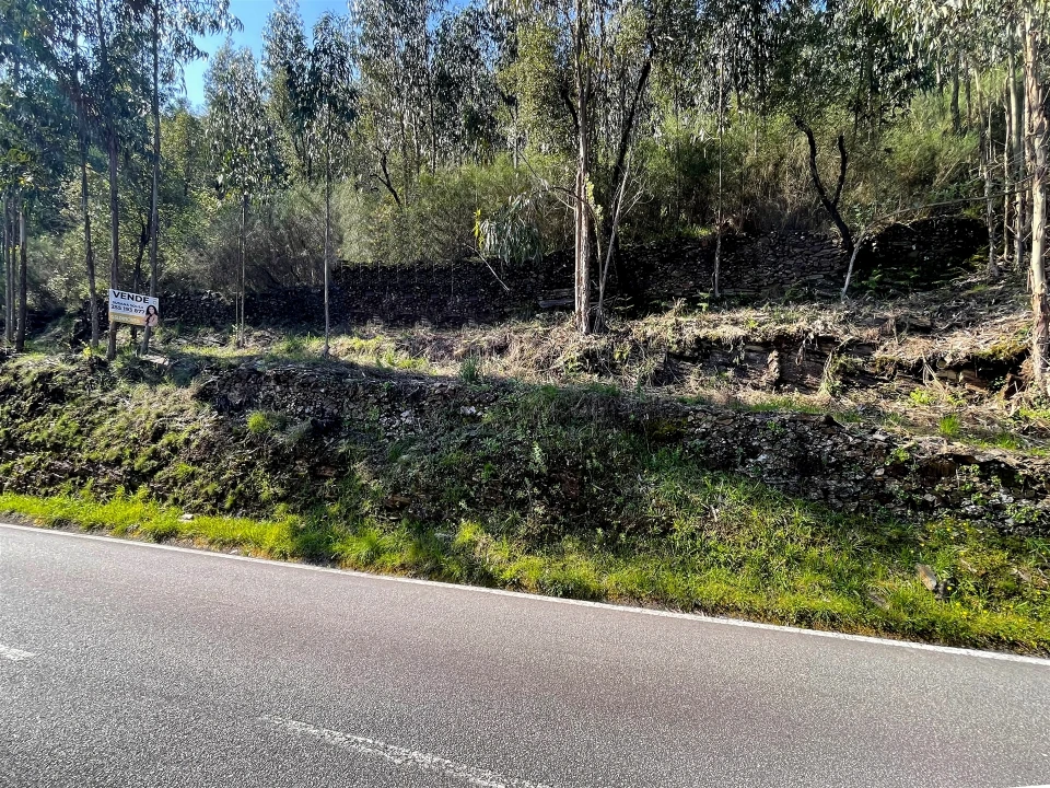 Terreno Agricola ou Rústico para Venda em Raiva, Pedorido e Paraíso Foto 7