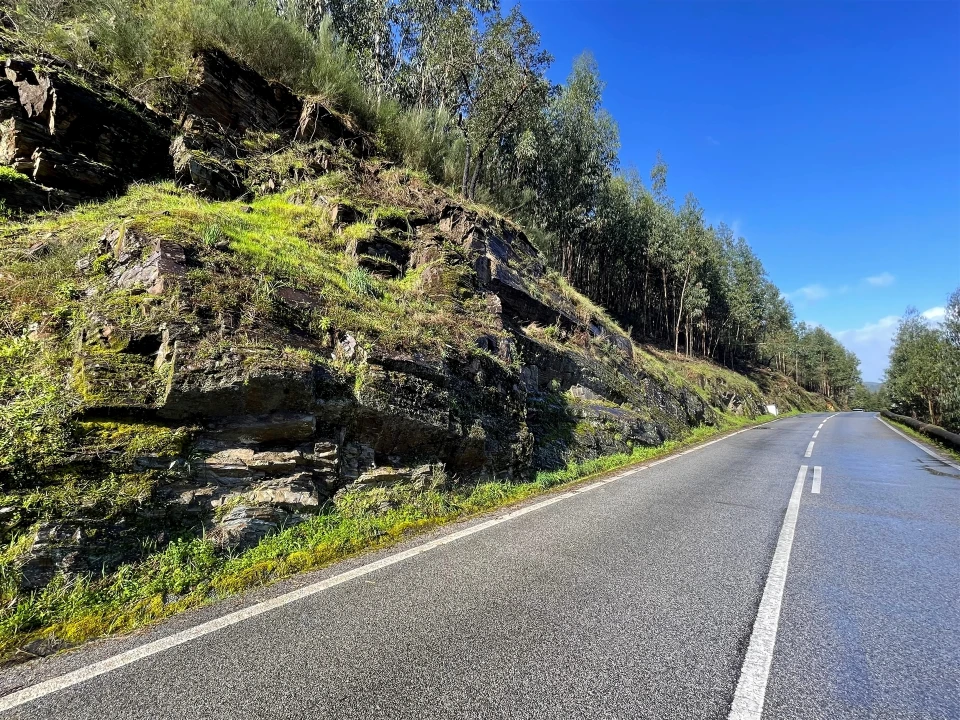 Terreno Agricola ou Rústico para Venda em Raiva, Pedorido e Paraíso Foto 5