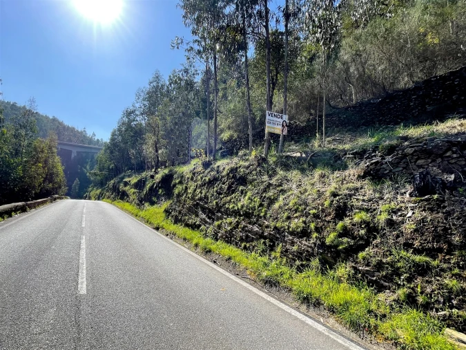 Terreno Agricola ou Rústico para Venda em Raiva, Pedorido e Paraíso Foto 6