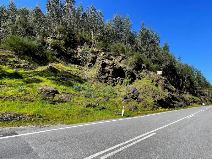 Terreno Agricola ou Rústico para Venda em Raiva, Pedorido e Paraíso Foto 2