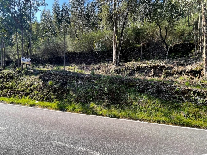 Terreno Agricola ou Rústico para Venda em Raiva, Pedorido e Paraíso Foto 7