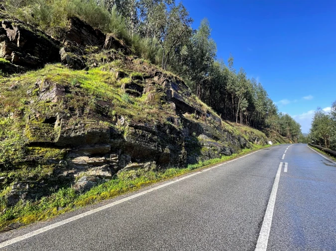 Terreno Agricola ou Rústico para Venda em Raiva, Pedorido e Paraíso Foto 5