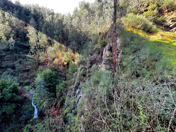 Terreno Agricola ou Rústico para Venda em Raiva, Pedorido e Paraíso Foto 5