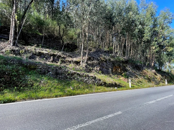 Terreno Agricola ou Rústico para Venda em Raiva, Pedorido e Paraíso Foto 8