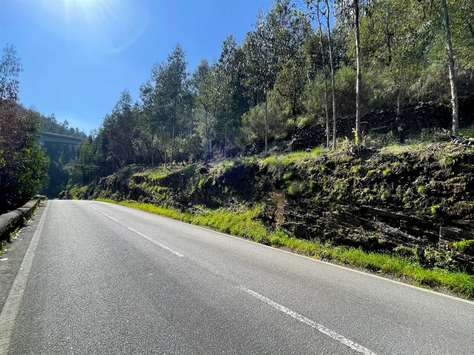 Terreno Agricola ou Rústico para Venda em Raiva, Pedorido e Paraíso Foto 1