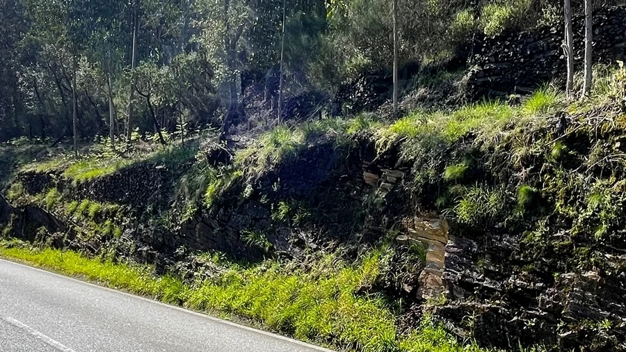 Terreno Agricola ou Rústico para Venda em Raiva, Pedorido e Paraíso