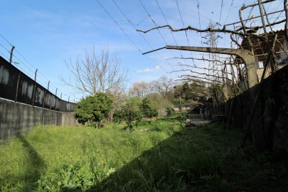 Moradia T3 para Venda em Ferreiros e Gondizalves