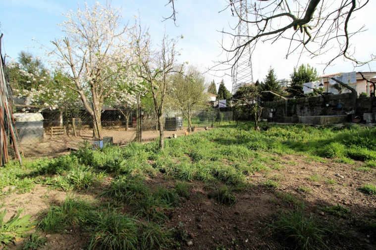 Moradia T3 para Venda em Ferreiros e Gondizalves Foto 27