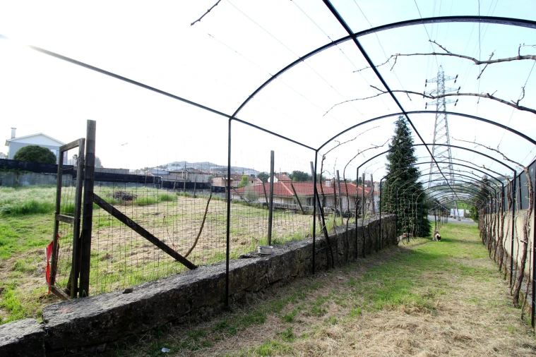 Moradia T3 para Venda em Ferreiros e Gondizalves Foto 30