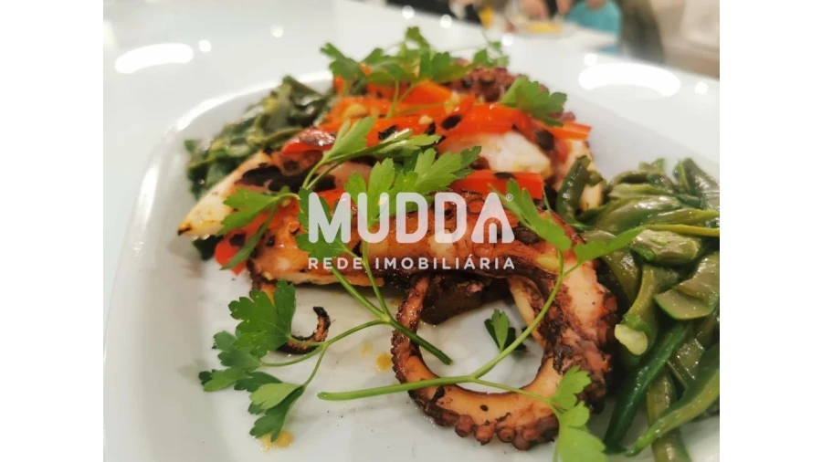 Negócio para Venda em Arrifana Foto 13