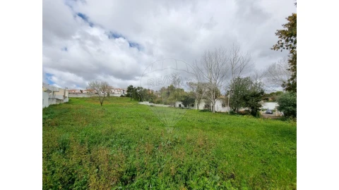 Terreno para Venda em Santa Maria, São Pedro e Matacães