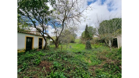 Terreno para Venda em Santa Maria, São Pedro e Matacães