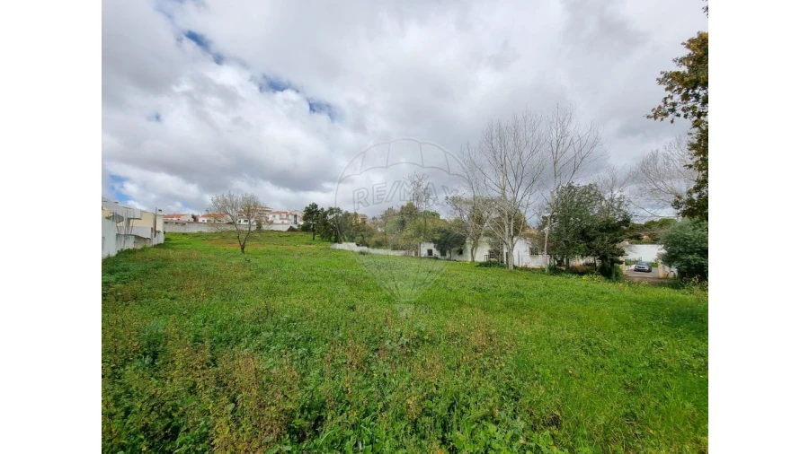 Terreno para Venda em Santa Maria, São Pedro e Matacães Foto 4