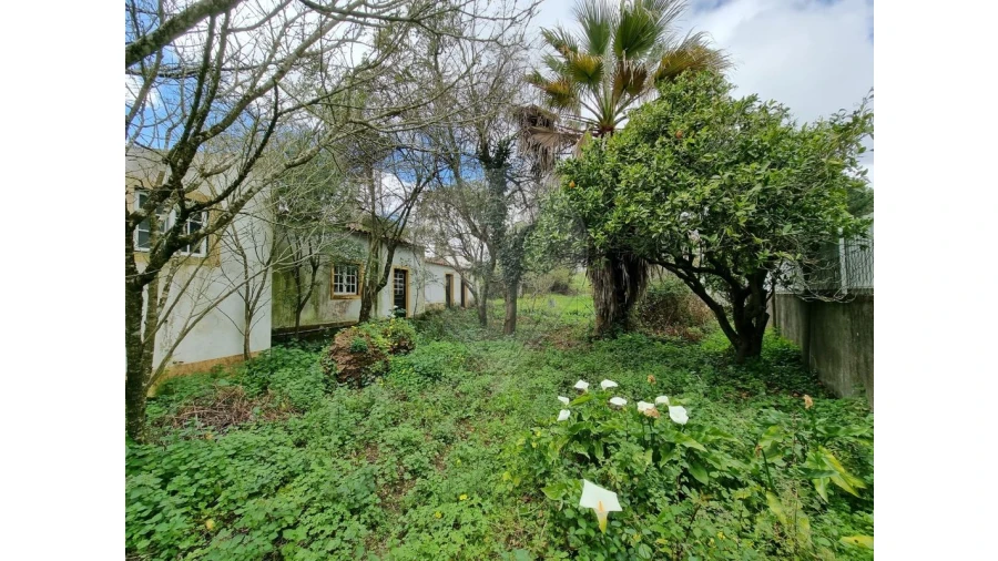 Terreno para Venda em Santa Maria, São Pedro e Matacães Foto 2