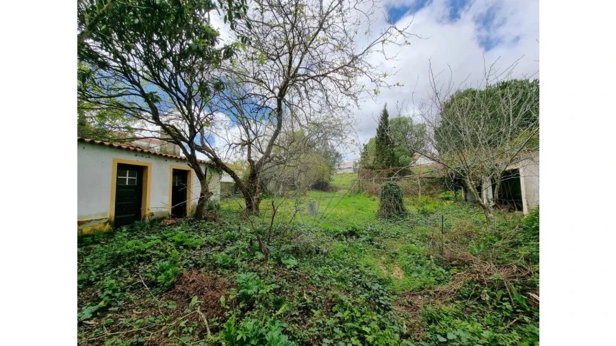Terreno para Venda em Santa Maria, São Pedro e Matacães Foto 3