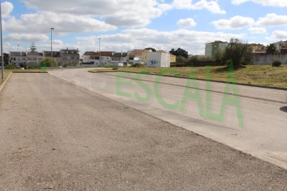 Terreno para Venda em Cartaxo e Vale da Pinta
