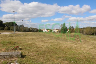 Terreno para Venda em Cartaxo e Vale da Pinta