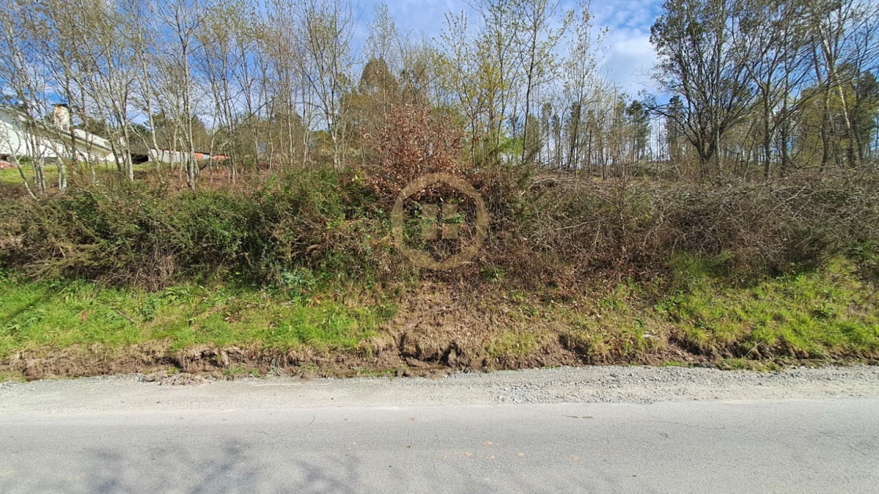 Terreno Agricola ou Rústico para Venda em Repeses e São Salvador Foto 5