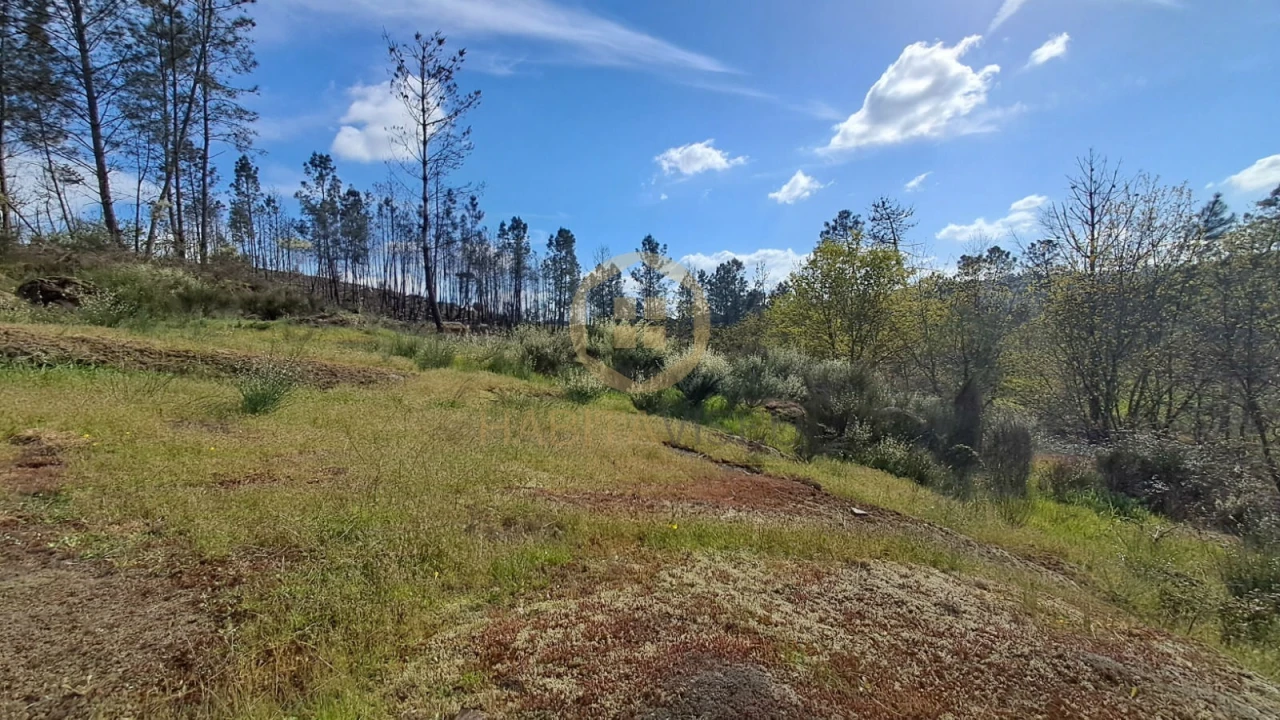 Terreno Agricola ou Rústico para Venda em Repeses e São Salvador Foto 6