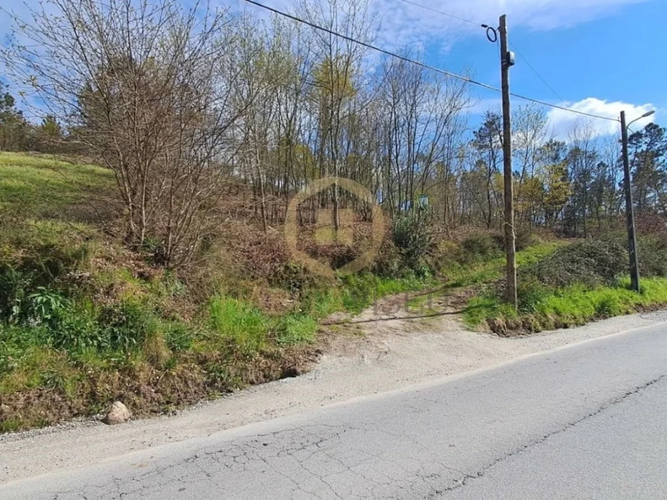 Terreno Agricola ou Rústico para Venda em Repeses e São Salvador Foto 1