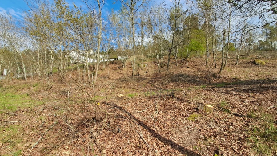 Terreno Agricola ou Rústico para Venda em Repeses e São Salvador Foto 8