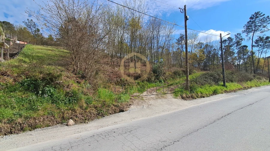 Terreno Agricola ou Rústico para Venda em Repeses e São Salvador Foto 11