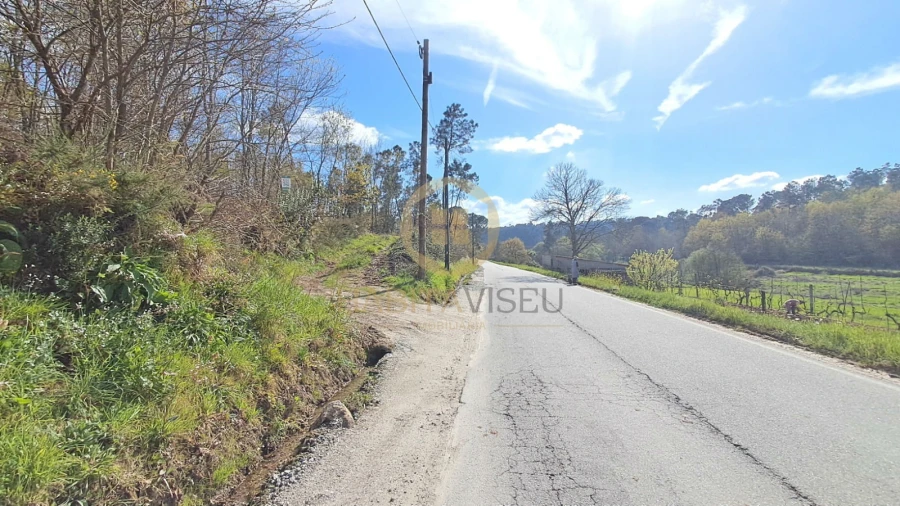Terreno Agricola ou Rústico para Venda em Repeses e São Salvador Foto 2