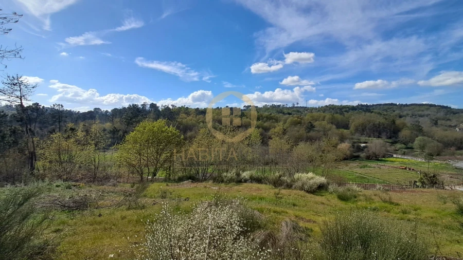 Terreno Agricola ou Rústico para Venda em Repeses e São Salvador Foto 10