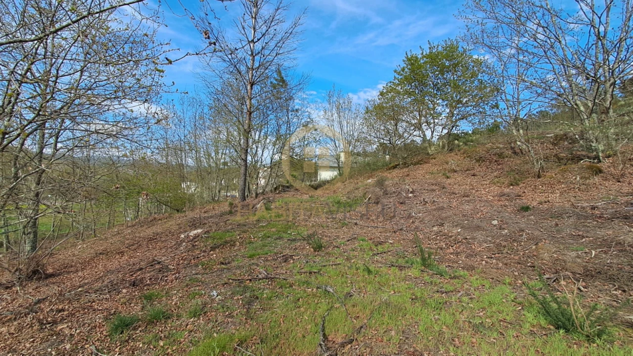 Terreno Agricola ou Rústico para Venda em Repeses e São Salvador Foto 9