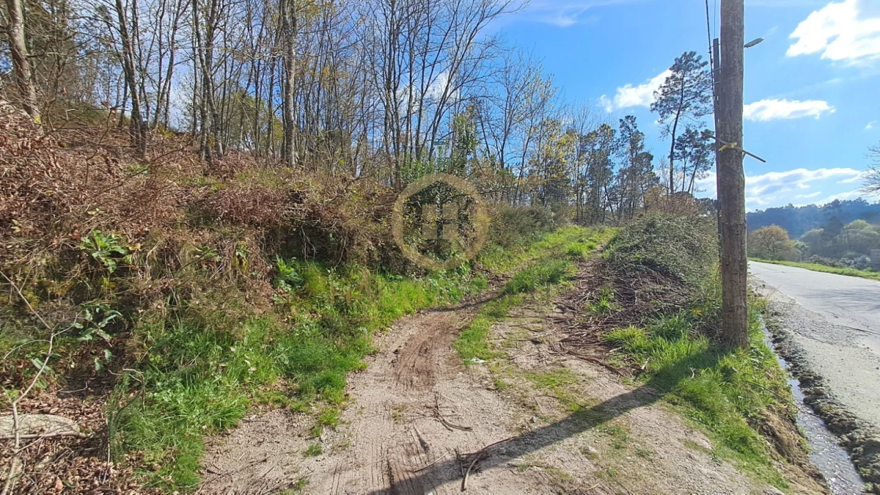 Terreno Agricola ou Rústico para Venda em Repeses e São Salvador Foto 3