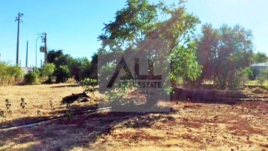 Terreno para Venda em Lagos (São Sebastião e Santa Maria) Foto 3