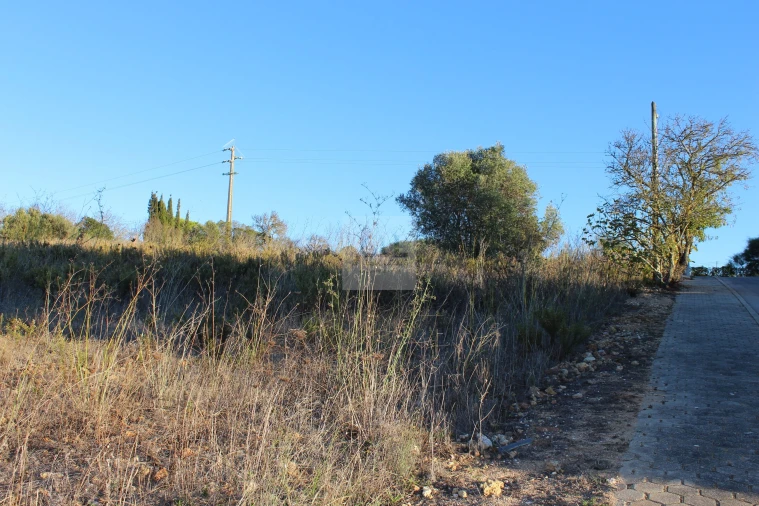 Terreno para Venda em Lagos (São Sebastião e Santa Maria) Foto 5